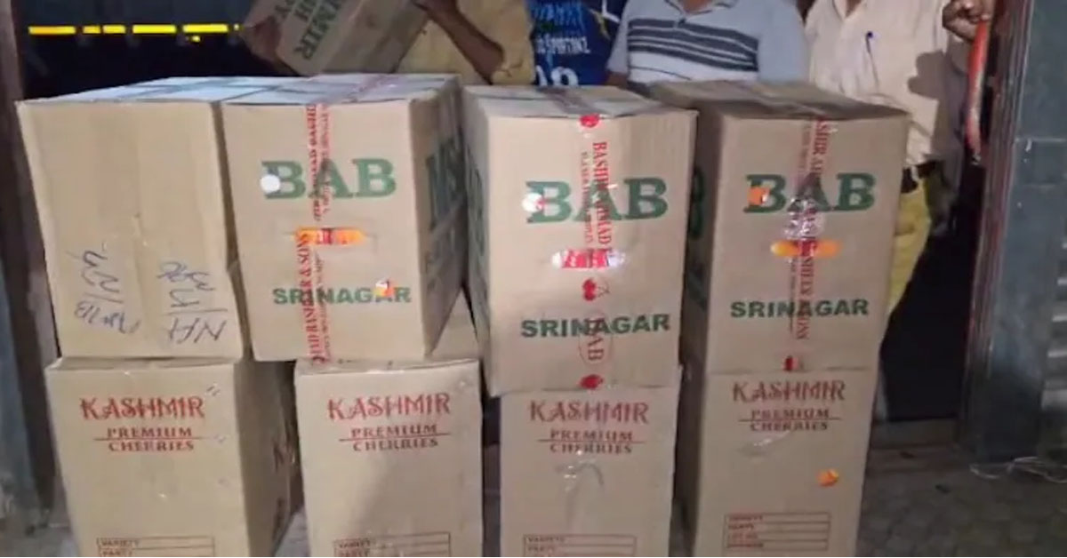 Kashmir's Cherries Get Sweeter Deal, Reach Mumbai In 33 Hours