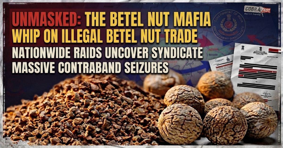Breaking: ED Cracks Whip On Illegal Betel Nut Trade
