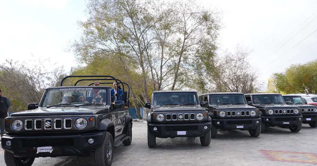 Snow Leopards, Open Jeeps: Ladakh Begins India's 1st High-Altitude Wildlife Safari