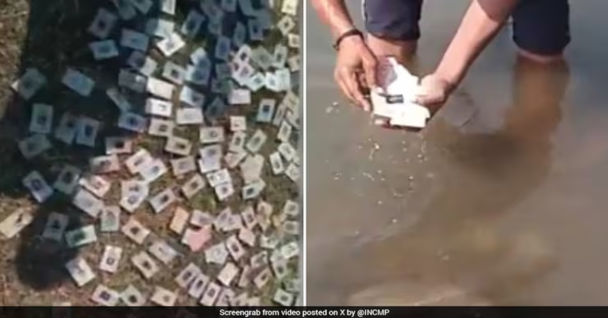 Over 340 Voter ID Cards Found On Narmada Riverbank In Madhya Pradesh
