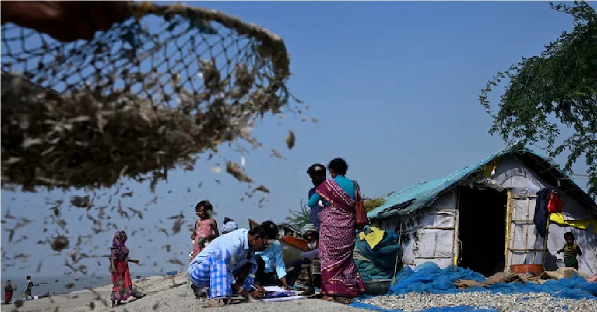 14 Lakh SIR Forms Identified As 'Uncollectable' So Far In Bengal: Poll Body