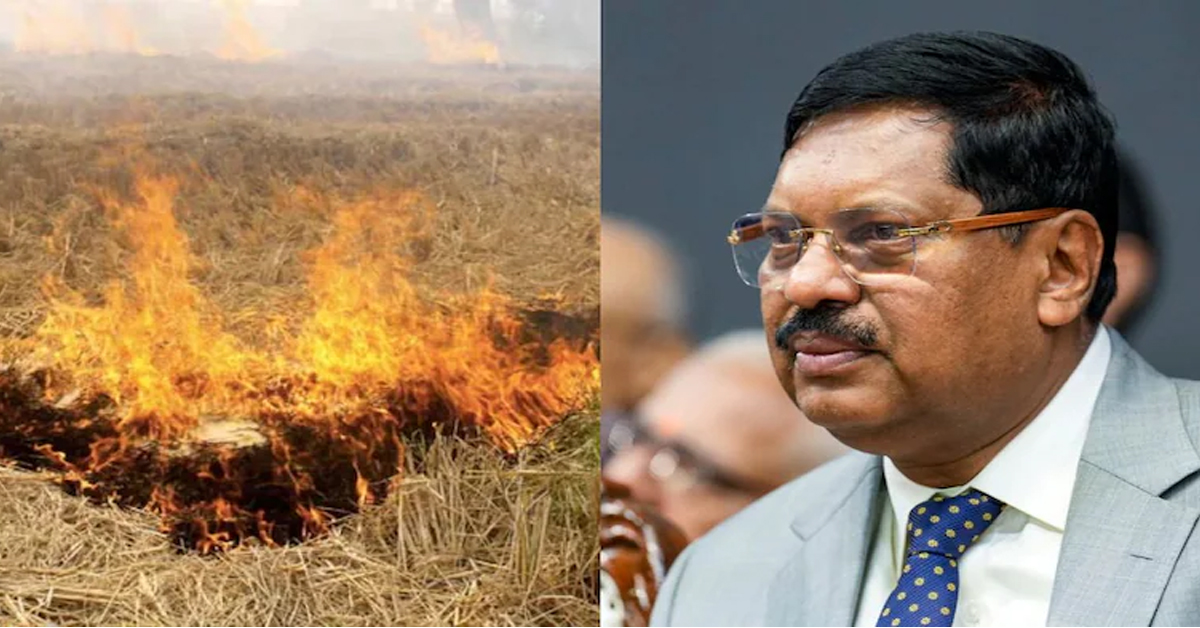 "Send A Few Behind Bars": Supreme Court On Farmers Burning Stubble