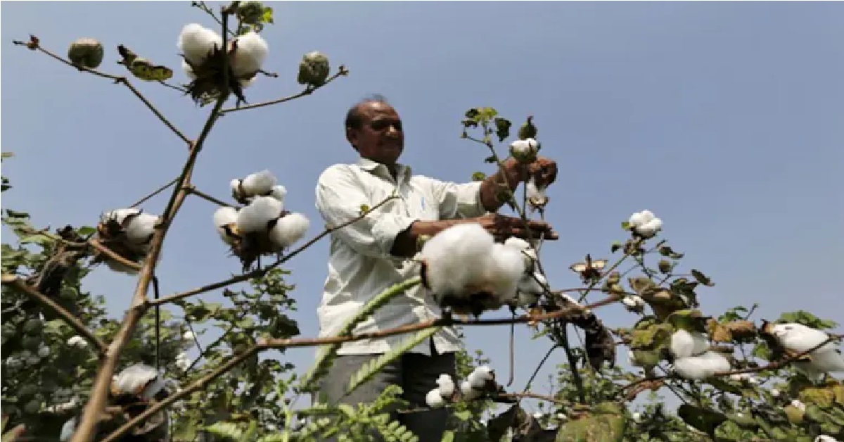 Centre Extends Duty-Free Imports Of Cotton By 3 Months Till December 31